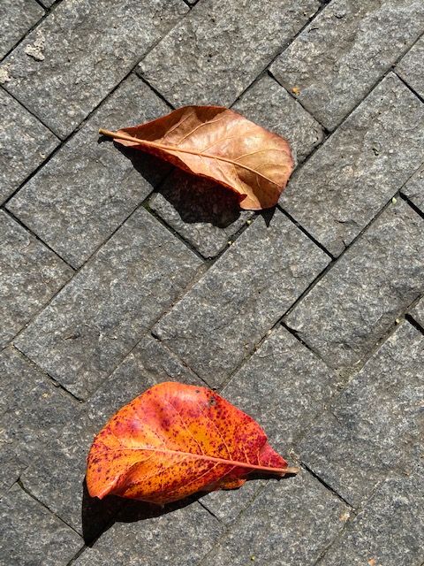 Série: Composição Urbana –&nbsp;12