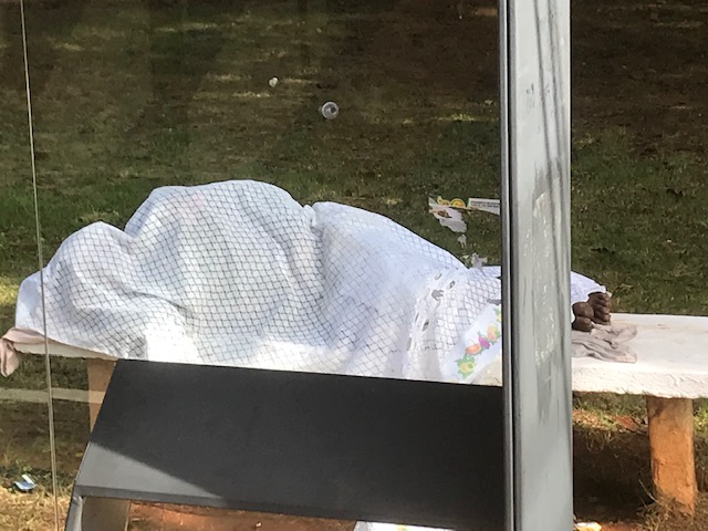 Escultura paulistana