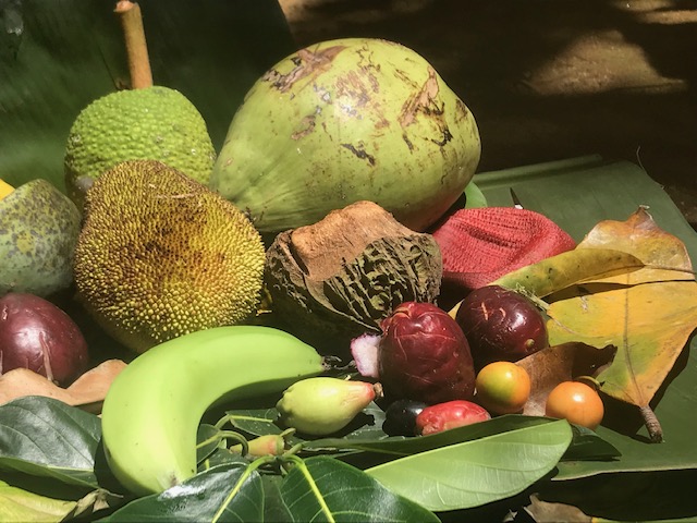 “Natureza Morta Tropical Capixaba” – fotografia impressa em papel fotográfico, 40 cm x 65 cm, 2019.