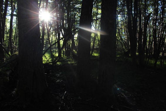 “Patagônia, Figurativa Abstrata”, Justino, série presente em livro fotográfico, 21 cm x 21 cm, 2018.