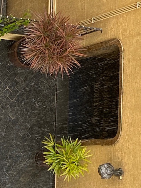 Paisagem Sub Paisagem - 7, Justino, fotografia, 2020.