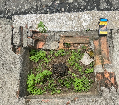 Série: Jardim das Delícias –&nbsp;13