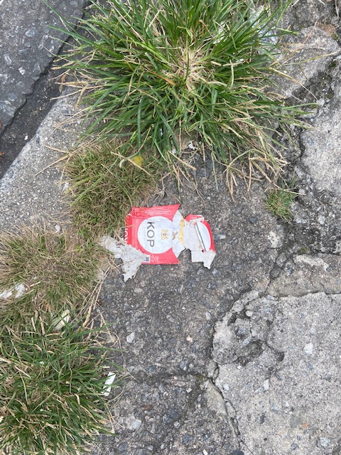 Série: Jardim das Delícias, 13, Justino, fotografia, 2020.