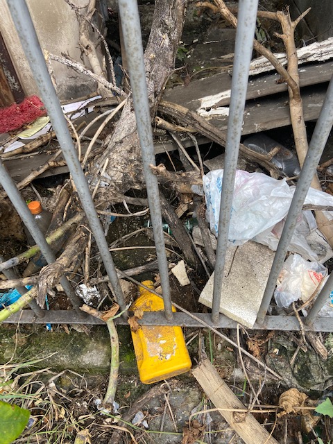 Série: Jardim das Delícias, 14, Justino, fotografia, 2020.