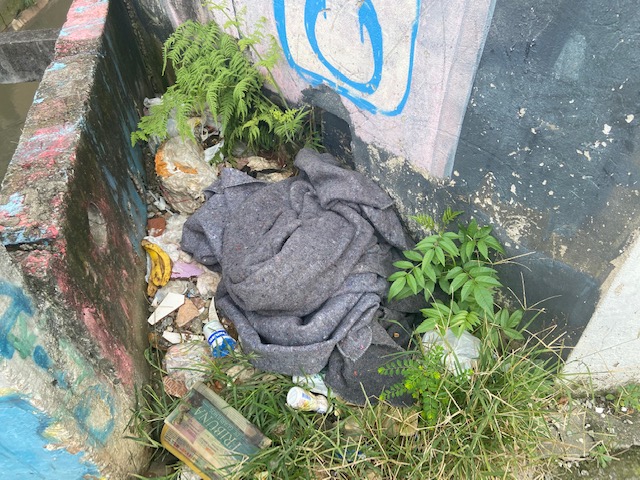 Jardim das Delícias - 1, Justino, fotografia, 2020.