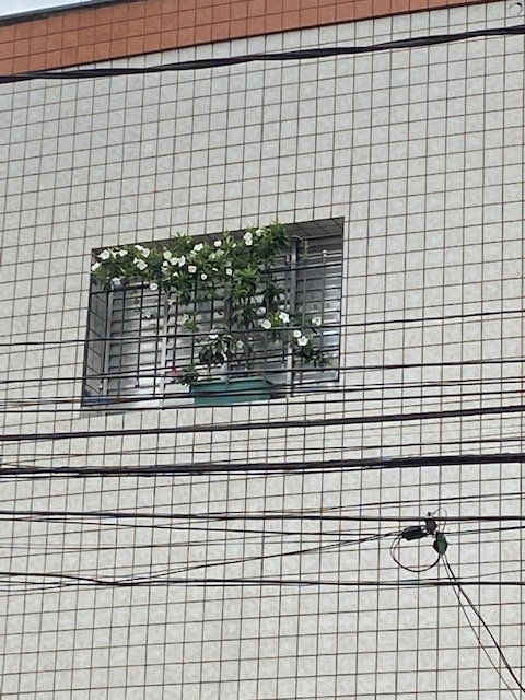 Paisagem Sub Paisagem - 8, Justino, Fotografia, 2020.