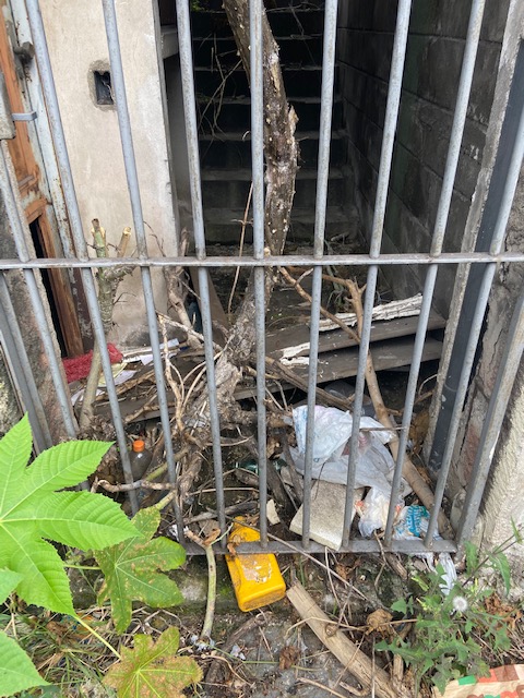 Série: Jardim das Delícias, 16, Justino, fotografia, 2020.