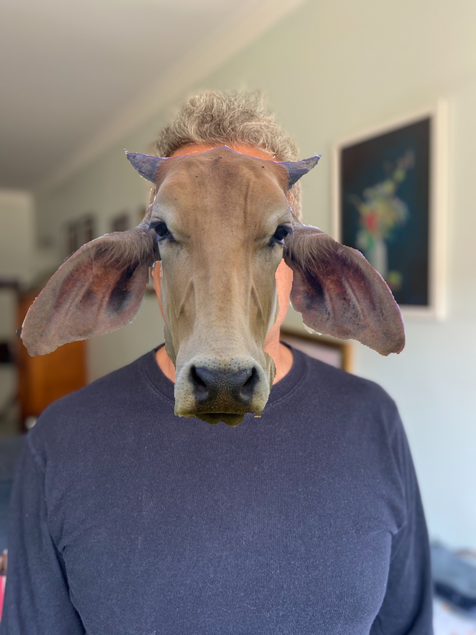 VirusMascaraBoi, Justino, 2020.