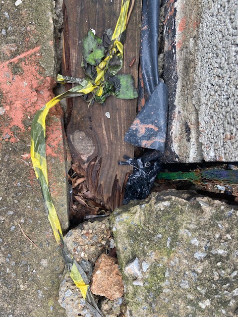 Série: Jardim das Delícias, 21, Justino, fotografia, 2020.