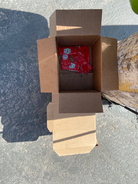 Jardim das Delícias - 19, Justino, fotografia, 2020.