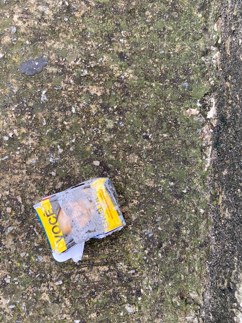 Série: Jardim das Delícias, 20, Justino, fotografia, 2020.