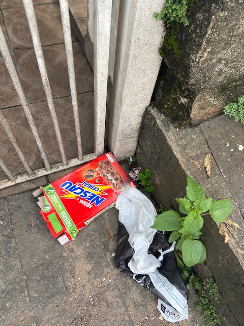 Jardim das Delícias - 26, Justino, fotografia, 2020.