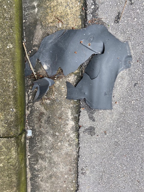 Série: Jardim das Delícias, 19, Justino, fotografia, 2020.