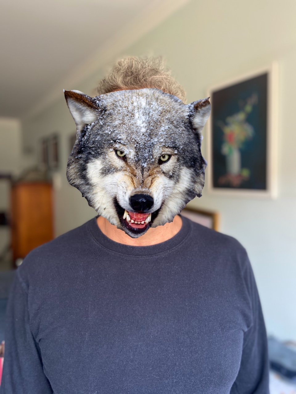 VirusMascaraLobo, Justino, 2020.