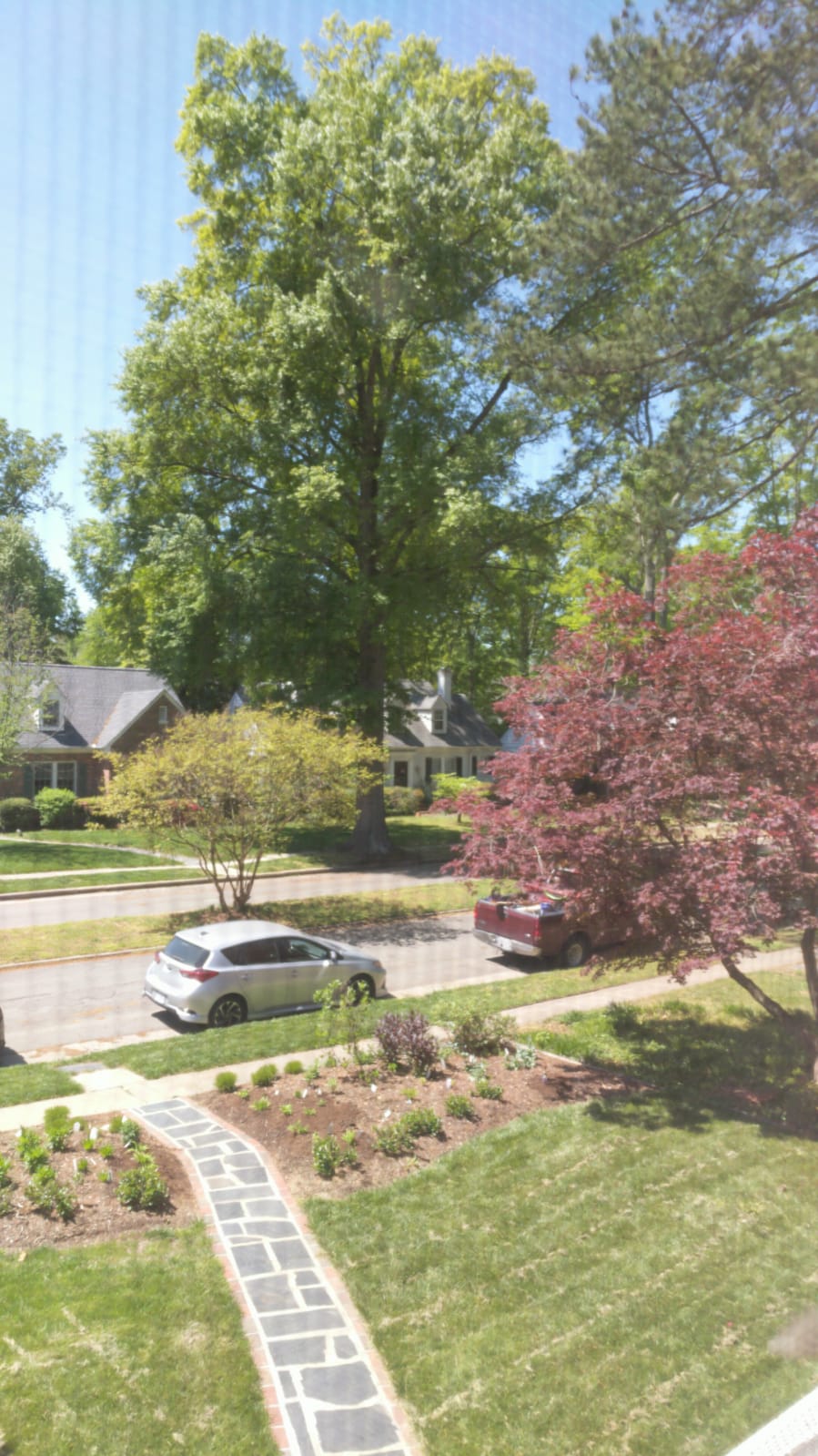 Emily, Richmond, EUA, 2020.