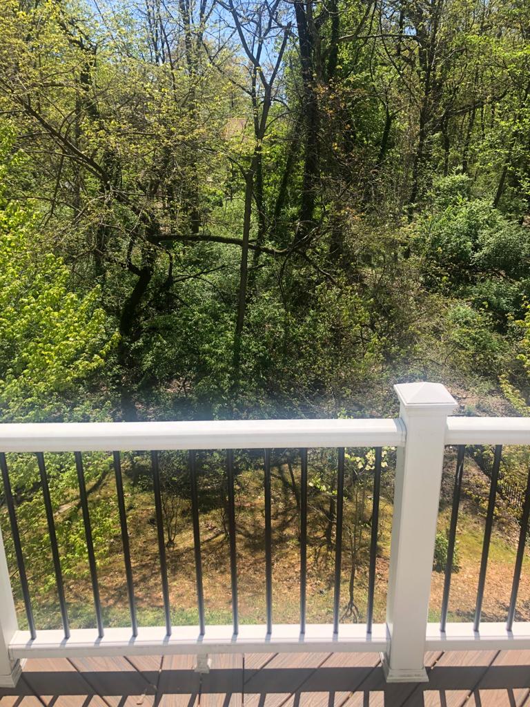 Maurício, Arlington, Estados Unidos, 2020.