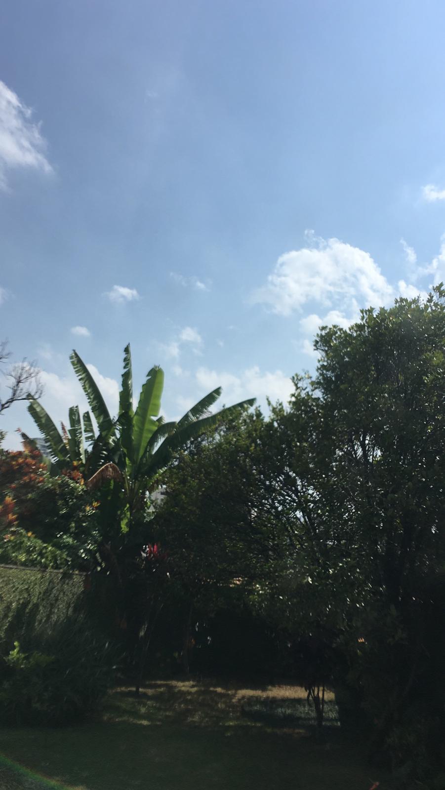 Beto, São Paulo, São Paulo, 2020.