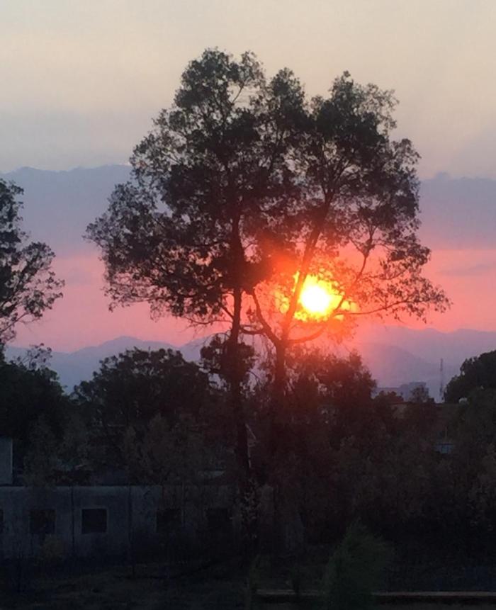 #OVírusSomosNós – VOLUME  2 : Cenas do&nbsp;Mundo