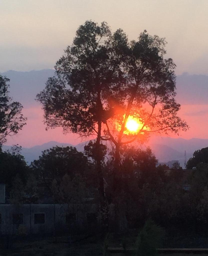 Edna, Michoacán, México, 2020.