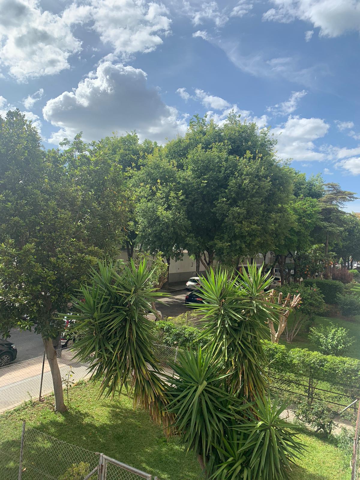 David, Sevilha, Espanha, 2020.