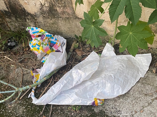 Jardim ds Delícias - 33, Justino, 2020.