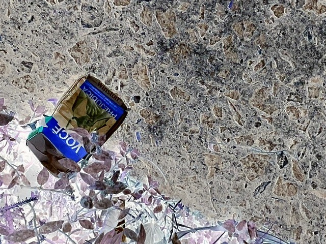 VOCÊ_ 30 - Fase 2, Justino, Fotografia, 2020. (2)