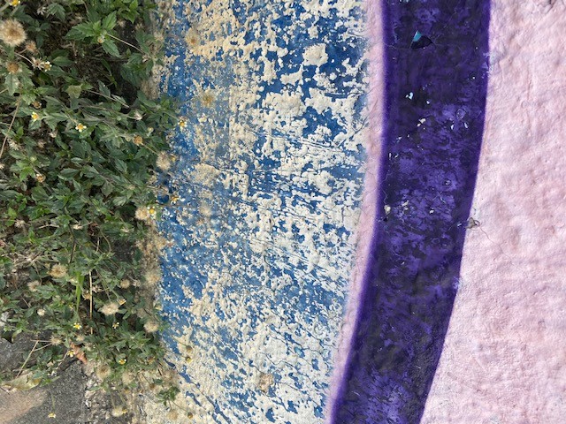 Jardim das Delícias - 38, Justino, 2020.