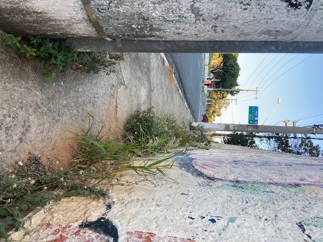 Série: Jardim das Delícias: Fase 2 – 36 a&nbsp;40