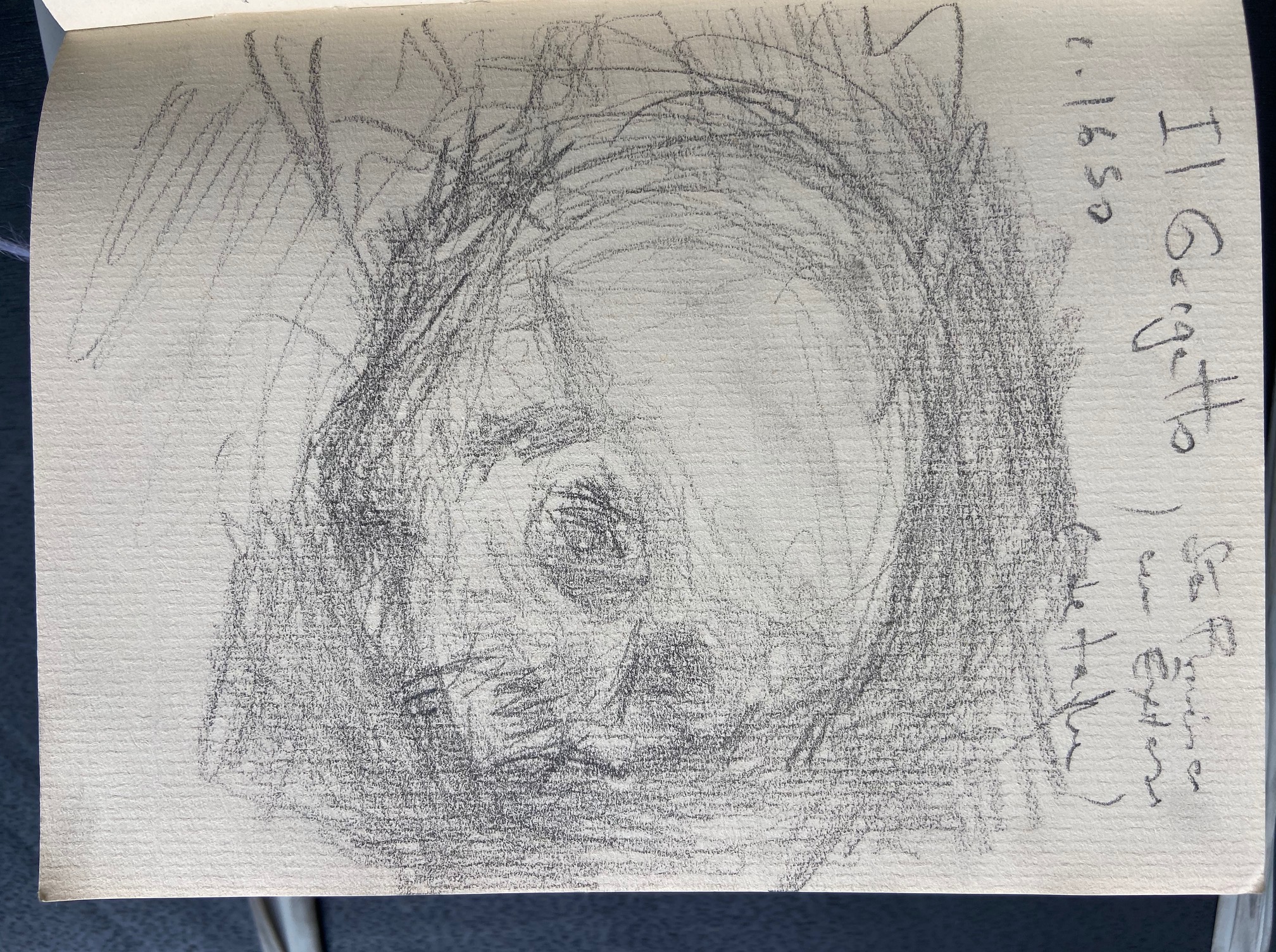 Il Gargatto, São Francisco em Êxtase, 1650, Justino, Desenho a lápis, 2019..