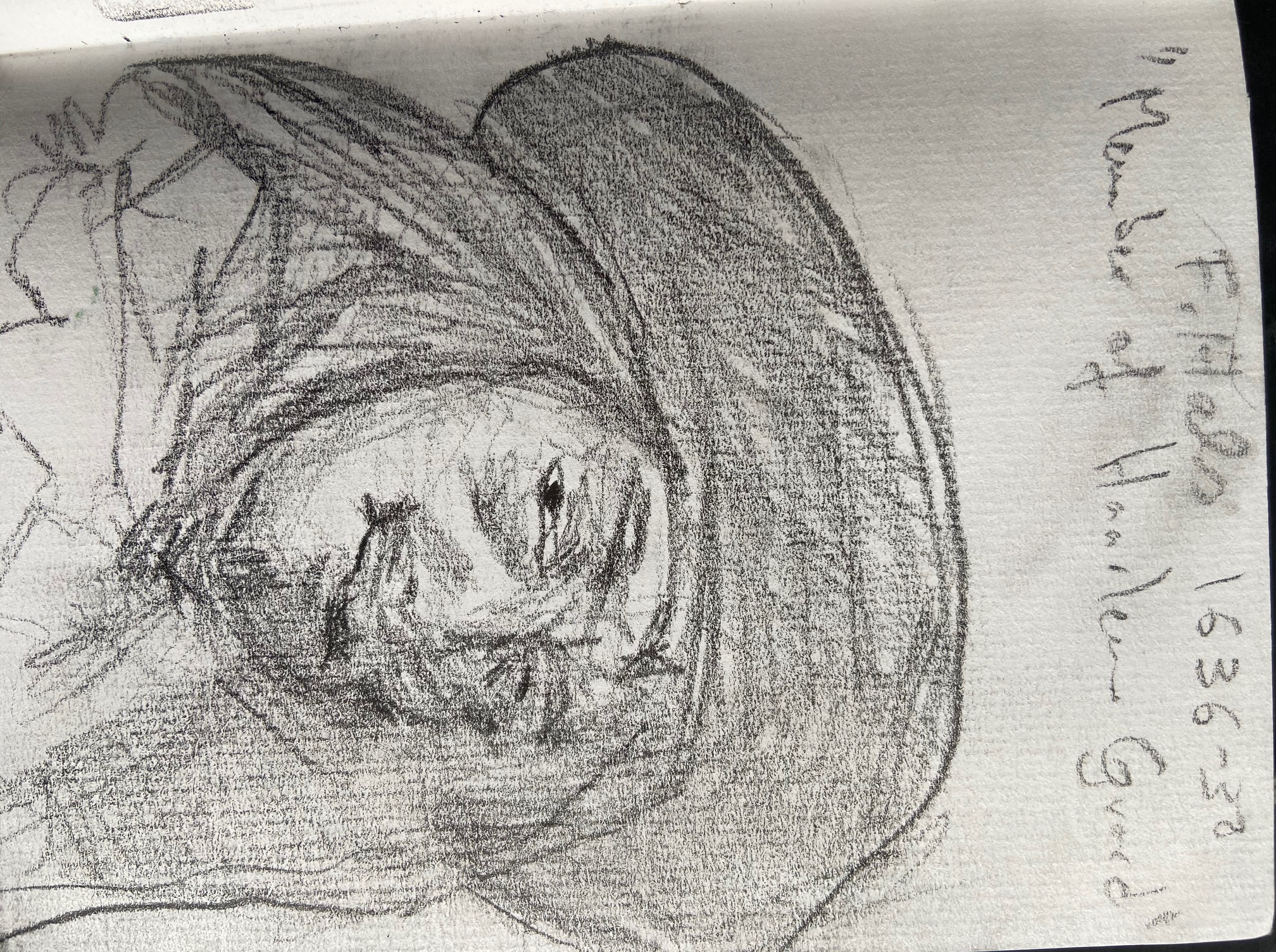 Frans Hals, Membro da Guarda de Haarlem 1636, Justino, Desenho a Lápis, 2020.