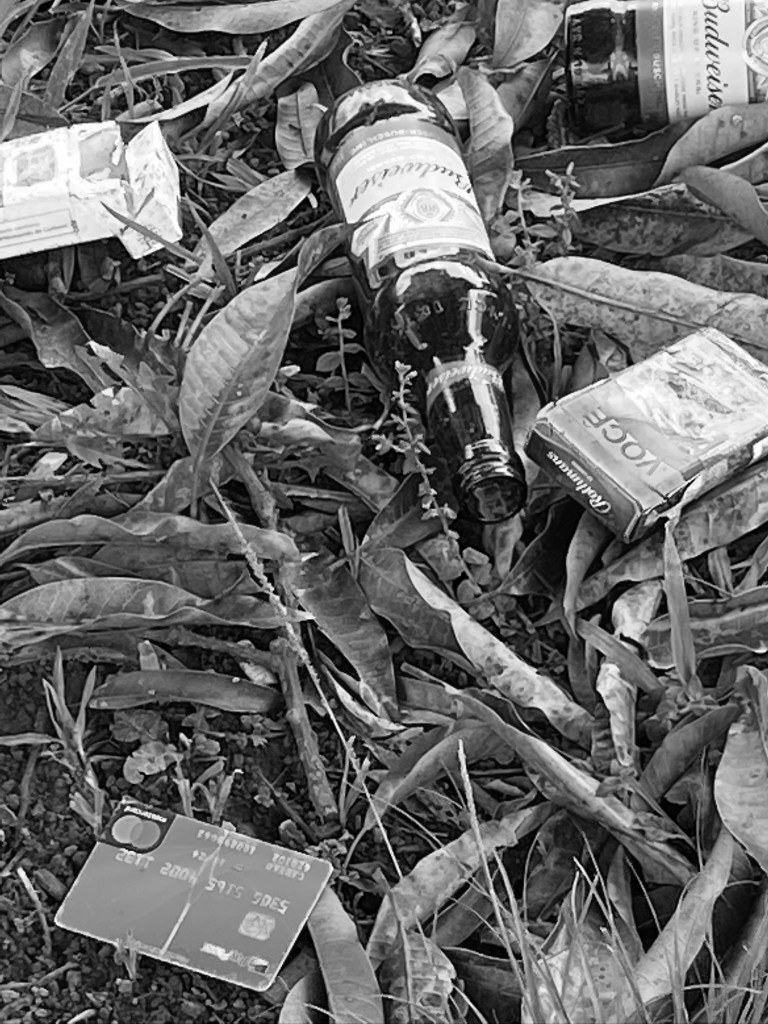 "Natureza morta 2", Justino, fotografia digital, 2020.