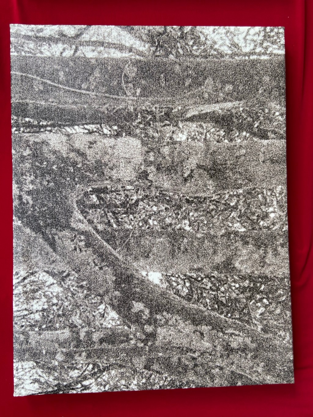 "Mantiqueira - 10", Justino, Fotografia digital impressa em tela, 30 cm x 40 cm, 2021.