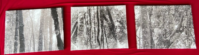 Mantiqueira: Começo, Meio e Fim – Parte&nbsp;3