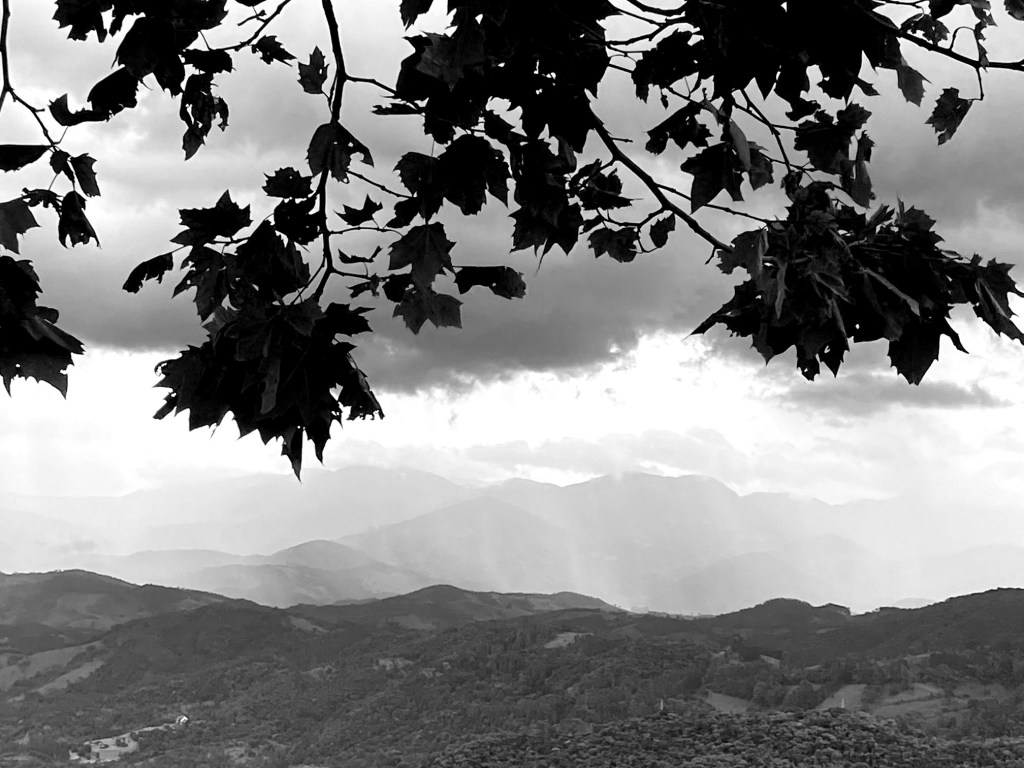 "Mantiqueira - 4", Justino, Fotografia, 2020.