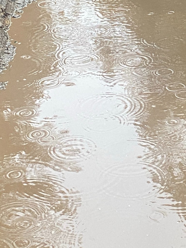 "Paisagem Abstrata 1", Justino, Fotografia digital, 2021.