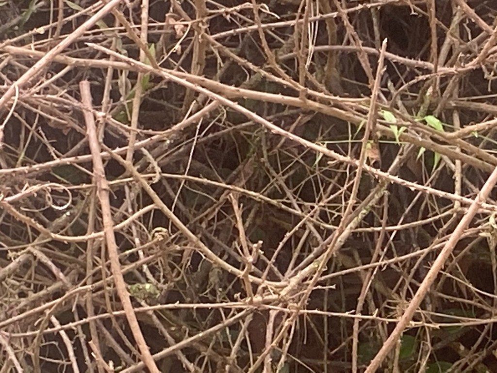 "Paisagem Abstrata 2", Justino, Fotografia digital, 2021.