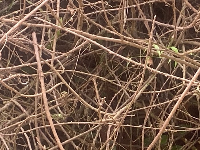 Mantiqueira: Começo, Meio e Fim – Parte&nbsp;4