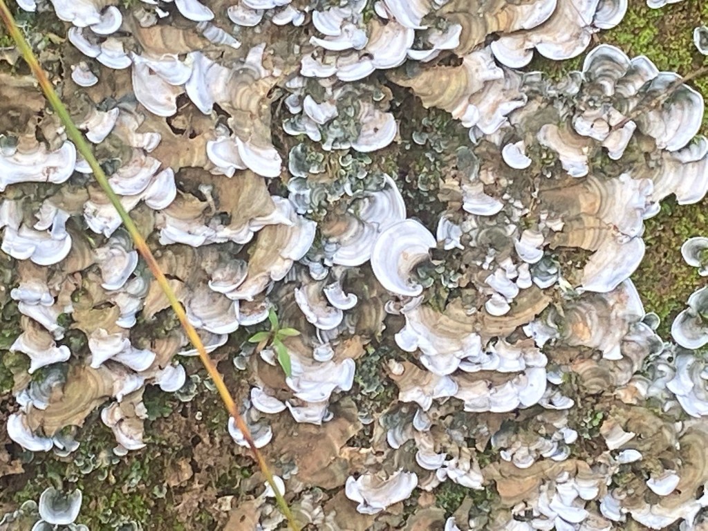 "Paisagem Abstrata 3", Justino, Fotografia digital, 2021.