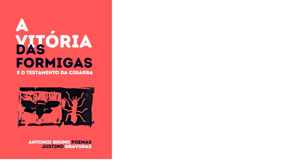 Capa do primeiro livro do projeto