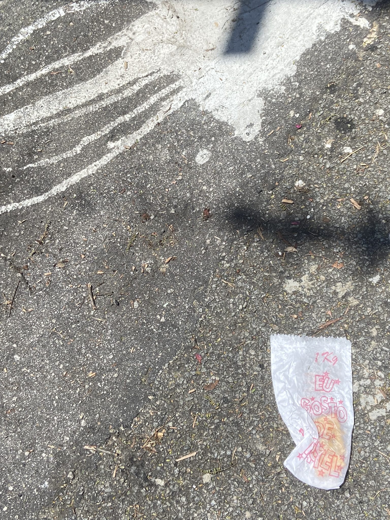 Abdução, 2023, Justino.