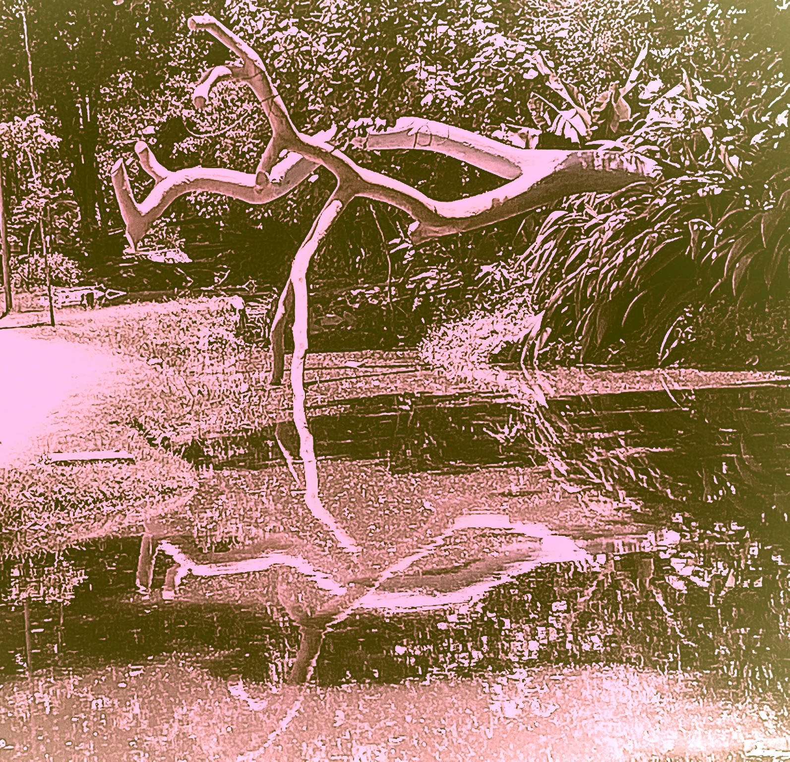 #ORecomeço e seu duplo - 4