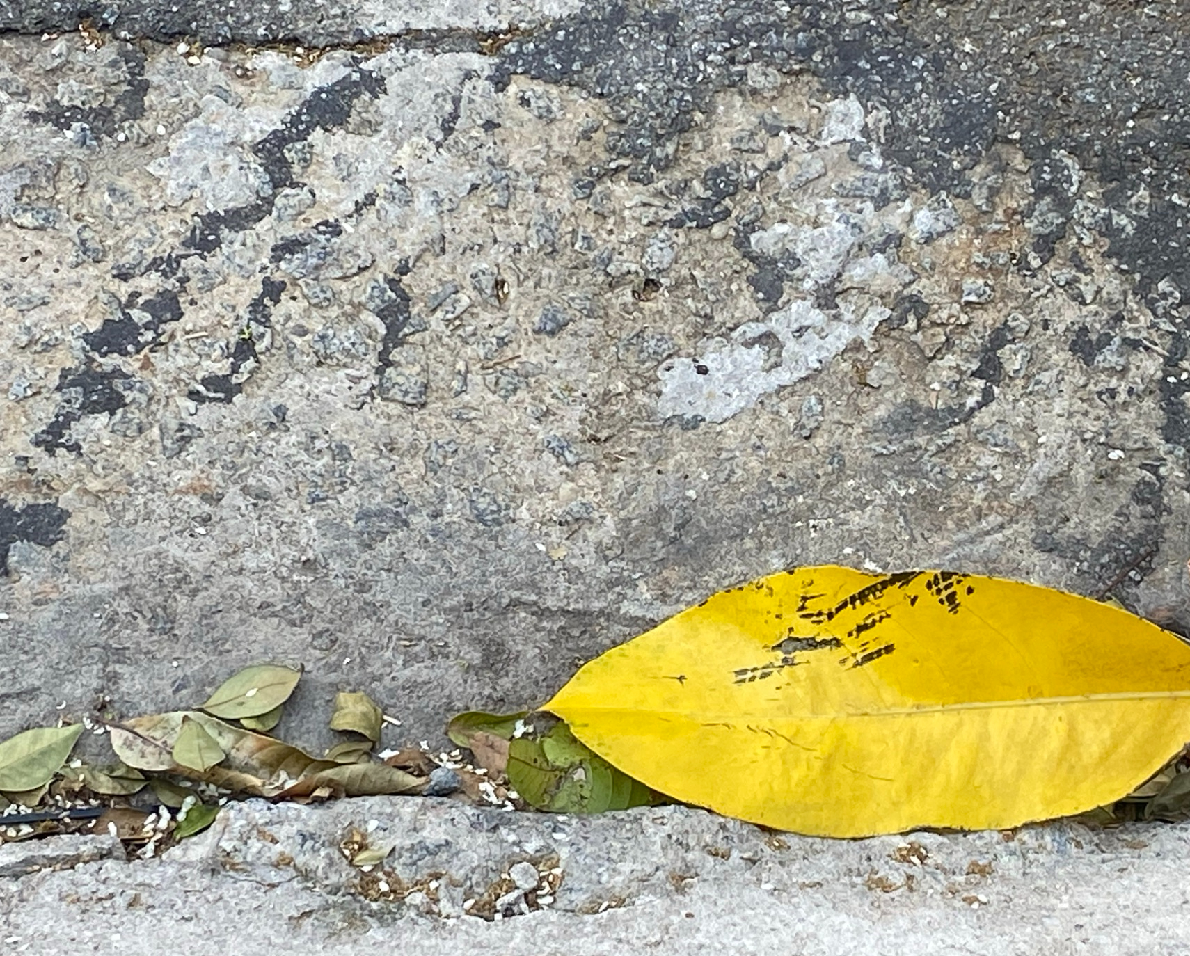 Marinha S: Chuva e sol poente 2021 Fotografia
