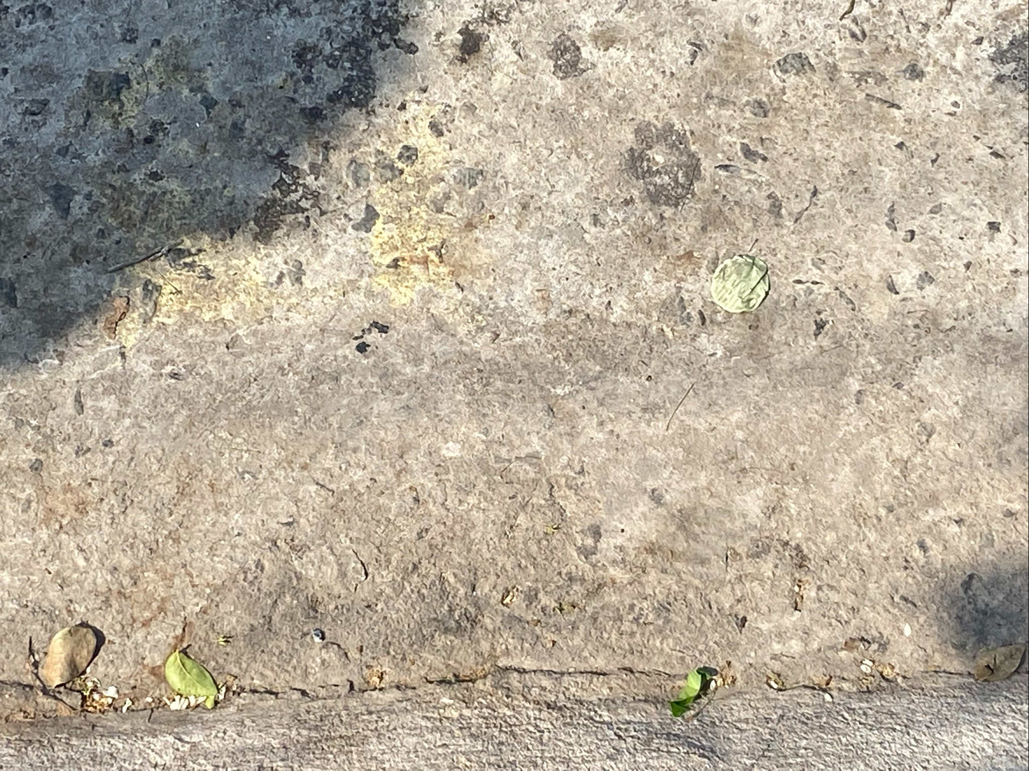 Marinha Q: Enfim, a tempestade se esvai 2021 Fotografia