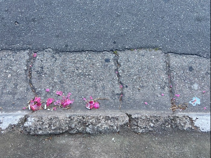 Marinha: dia 2 de Fevereiro vai ter festa no&nbsp;mar