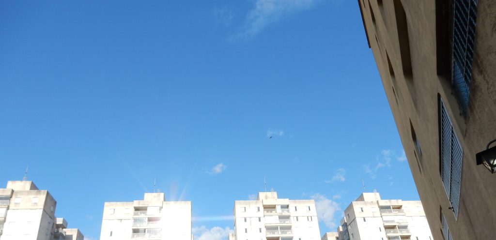 Quinhentos mil cadáveres em céu azul- 1