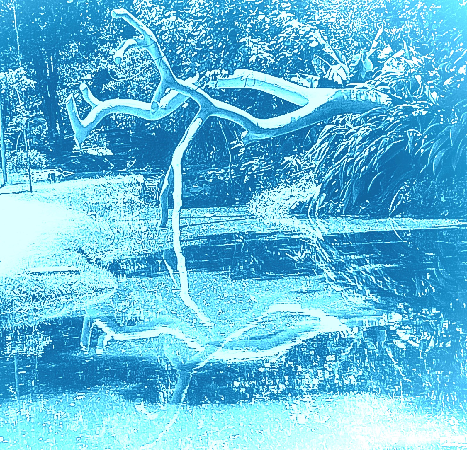 #ORecomeço e seu duplo - 6 2021