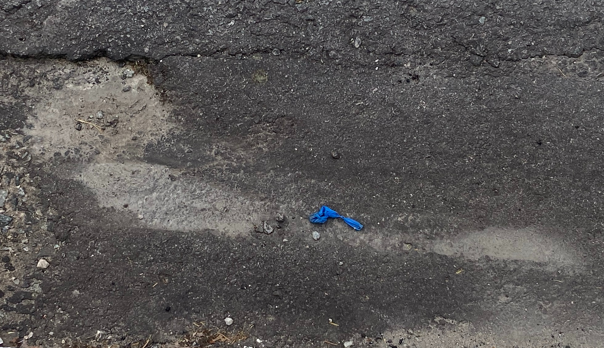 Marinha W: Última chance antes da tempestade 2021 Fotografia