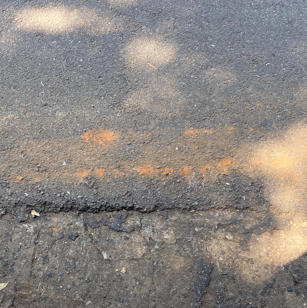 Marinha P: Enfim, a tempestade se esvai 2021 Fotografia