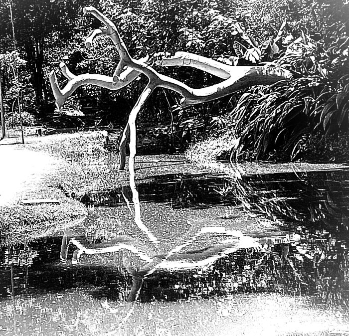 #ORecomeço e seu duplo –&nbsp;7