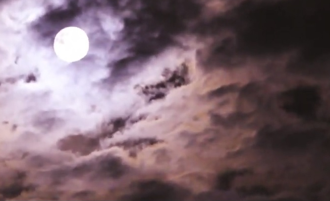 #OVírusSomosNós: VOLUME 3 – De L a B e de volta a L: vídeo com trilha sonora de Ari&nbsp;baltazar